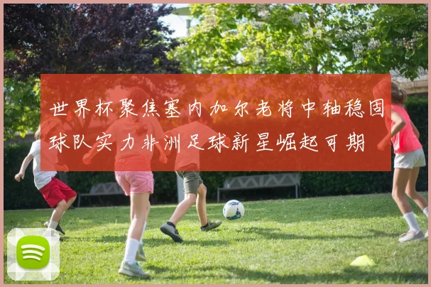 世界杯聚焦塞内加尔老将中轴稳固球队实力非洲足球新星崛起可期